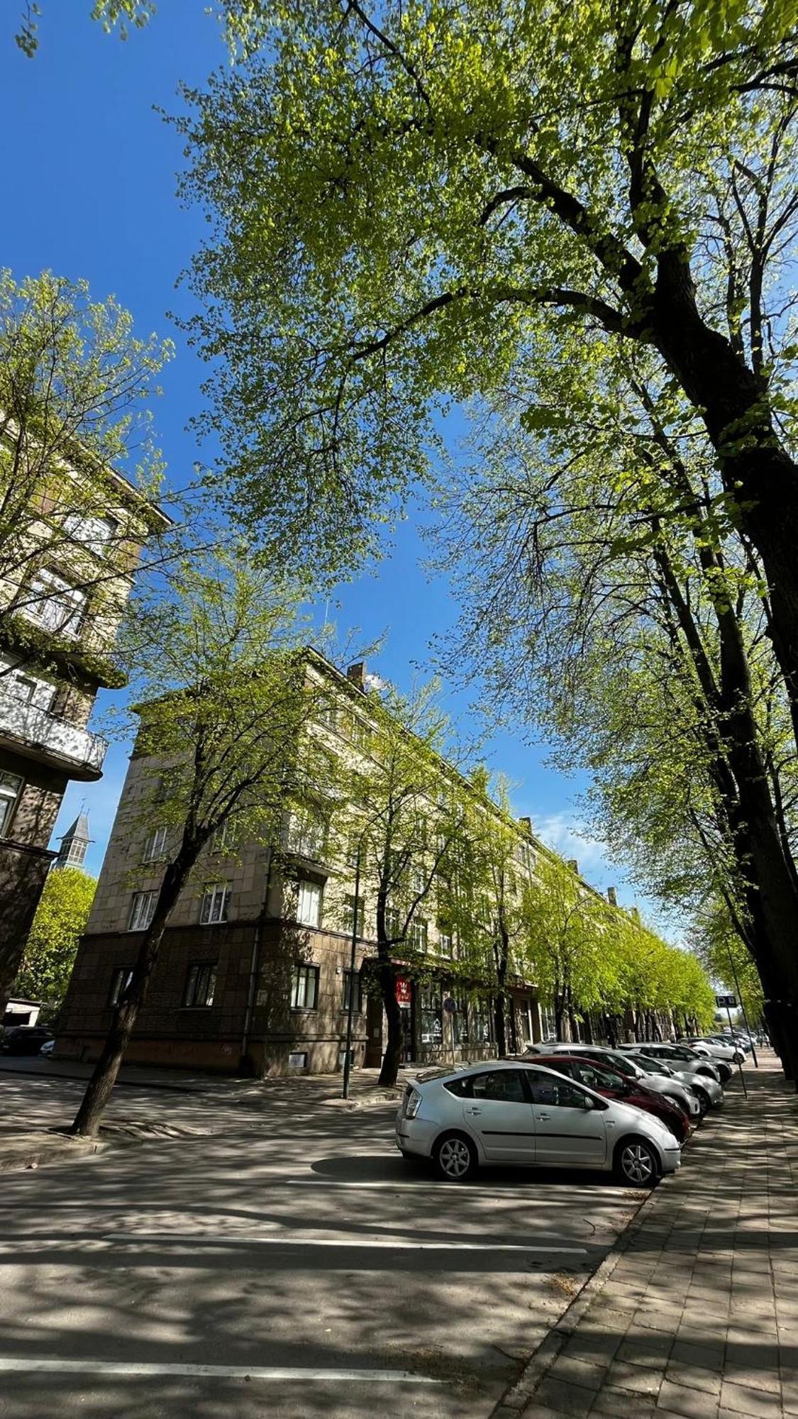 Heritage House Dane Apartment クライペダ エクステリア 写真